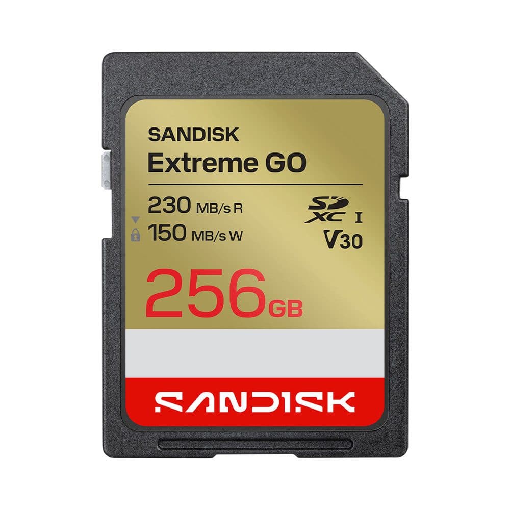 SanDisk Cartao De Memoria Sd Extreme Go 230 256GB