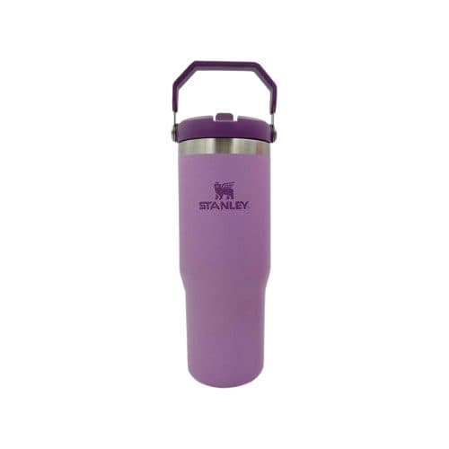 Stanley Termica Classic Flip Straw Tumbler Plum Al 887ML