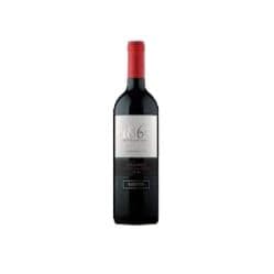 Beb Vinho Chileno San Pedro Carmenere 750ML
