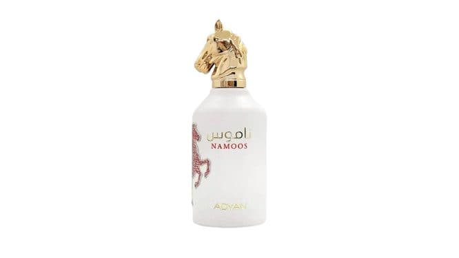 Adyan Namoos 100ML EDP