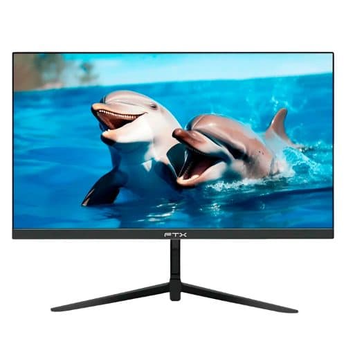 Monitor Lcd Ftx Fhd Vga Hdmi