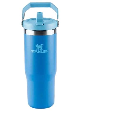 Stanley Termica Flip Straw Tumbler Dreams Tampa 887ML