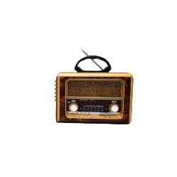 Radio Portatil Ecopower Champagne BT USB Sd Am Fm
