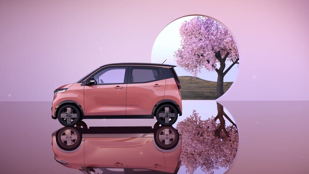 Carro Eletrica Eco Xtreme Sakura