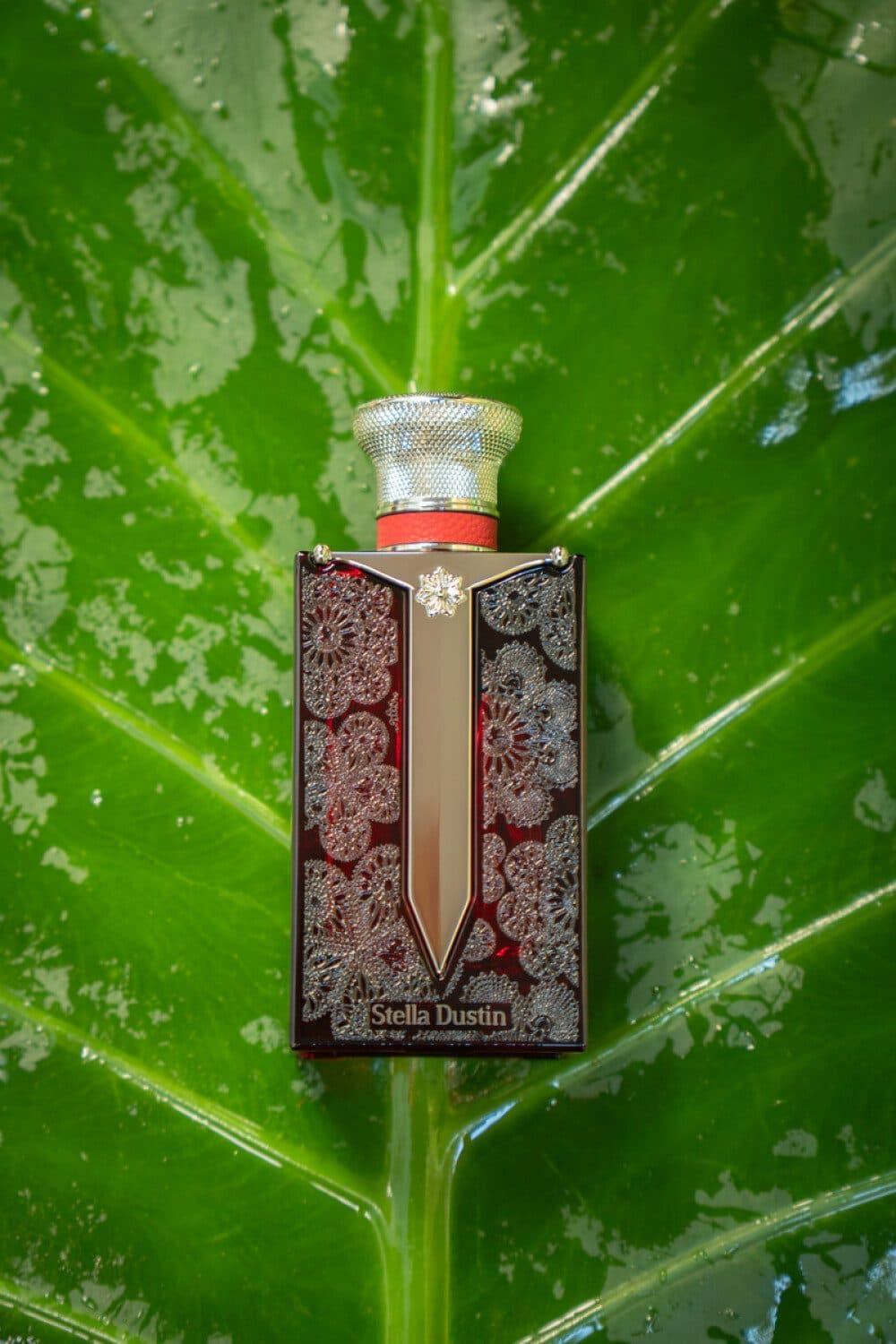 Stella Dustin Espada Guarani 100ML EDP Masculino