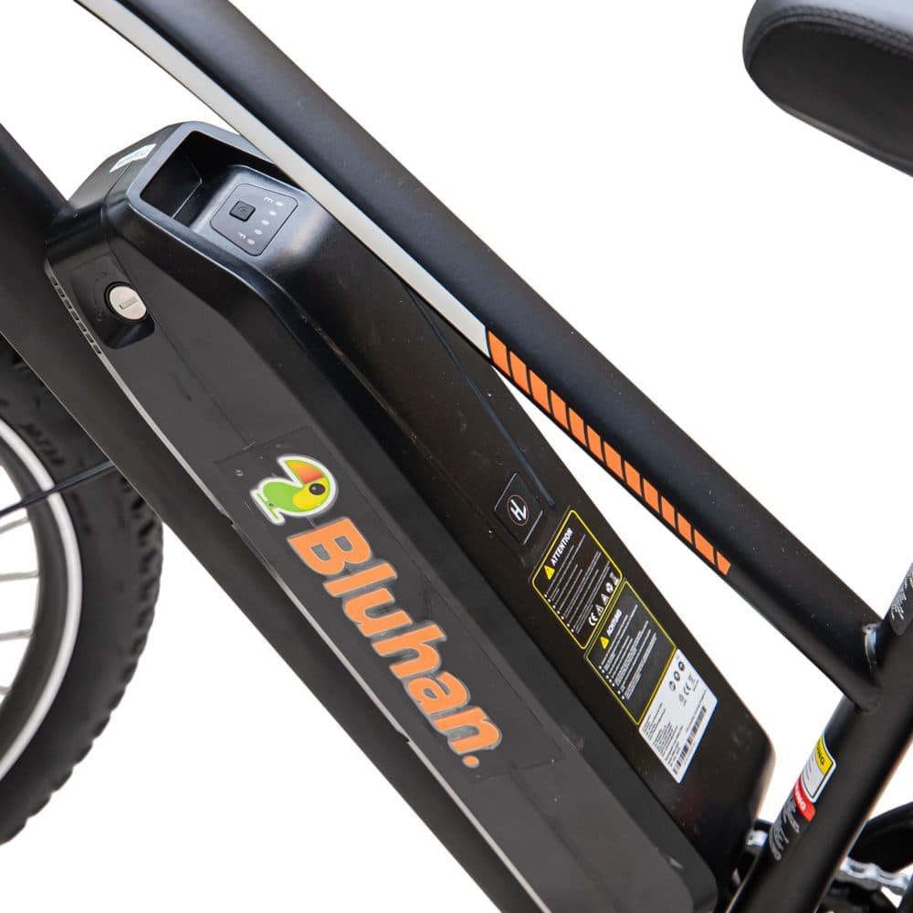 Bicicleta Eletrica Bluhan X2 Pro