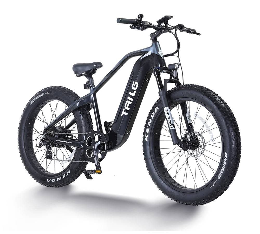 Bicicleta Eletrico Quatro