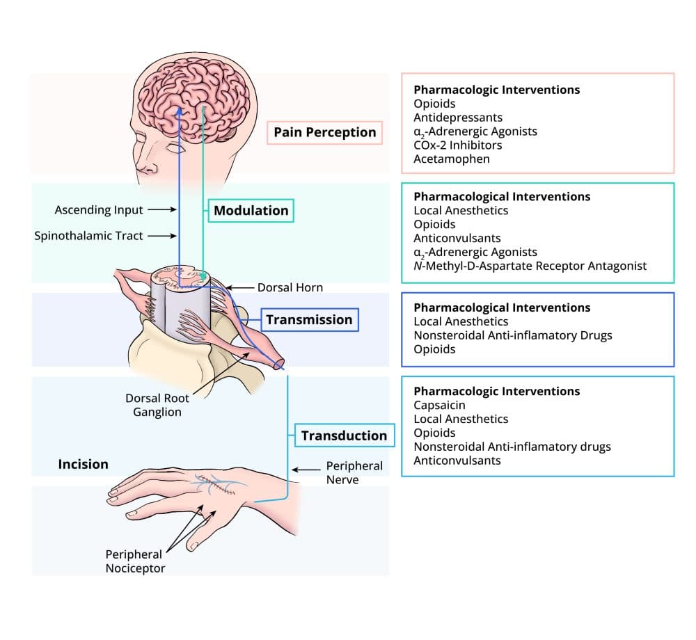 Med Analgesico Ontocal Indfar Cx