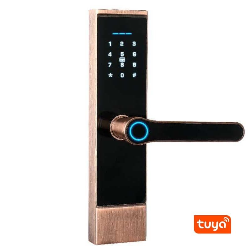 Fechadura Dig Tuya USB Car
