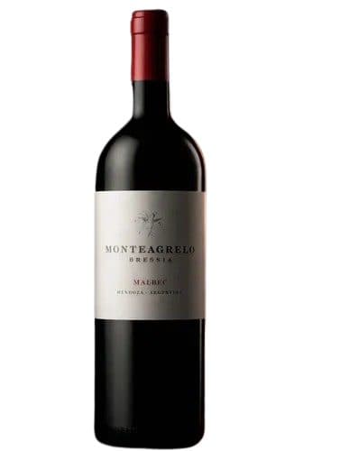 Beb Vinho Arg Monteagrelo Bressia Malbec