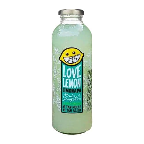 Beb Suco Love Lemon Menta Gengibre 475ML