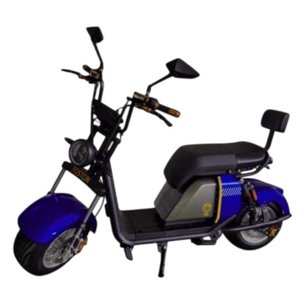 Foston Bicicleta Eletrica X22