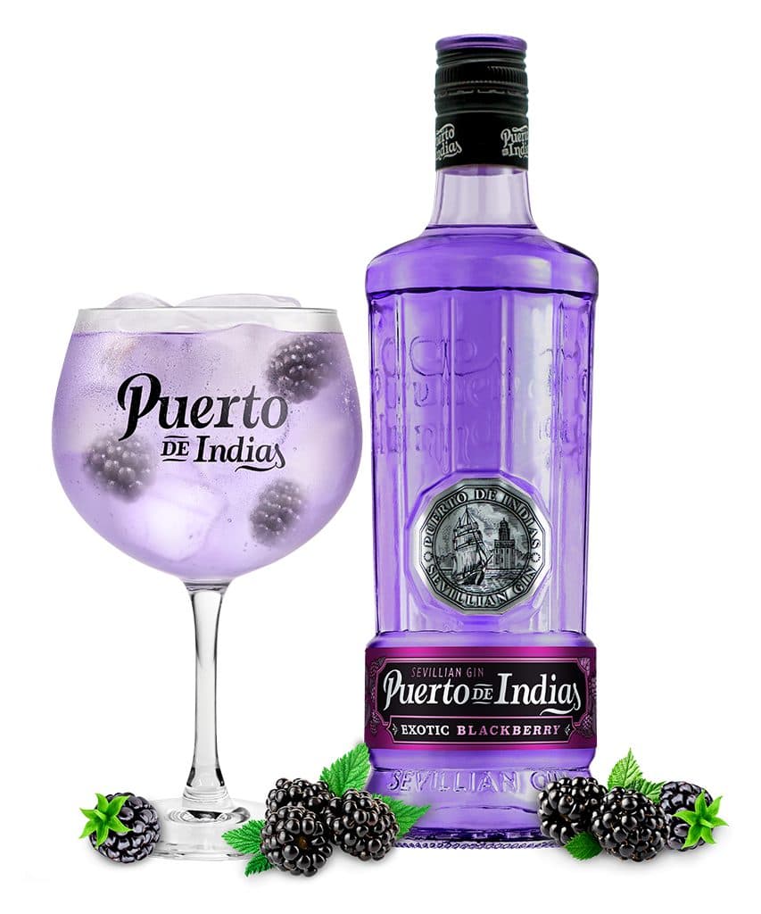 Beb Gin Esp Puerto De Indias Blackberry Copo 700ML