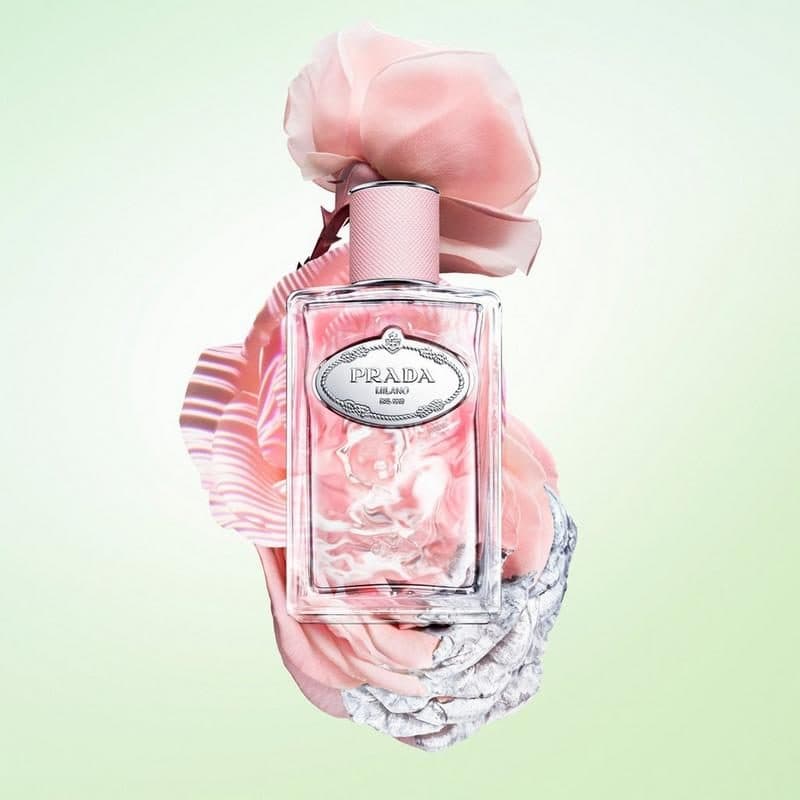 Prada Infusion De Rose 100ML EDP