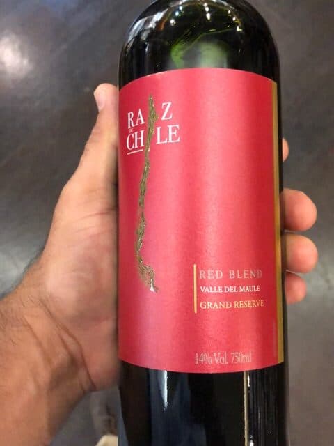 Beb Vinho Chi Raiz De Chile Blend 750ML